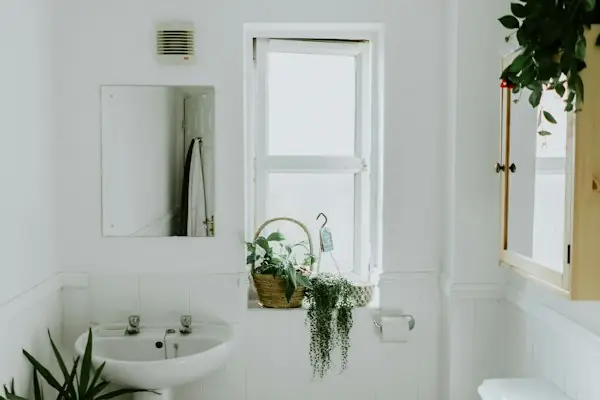 Small bathroom with a white sink and plants